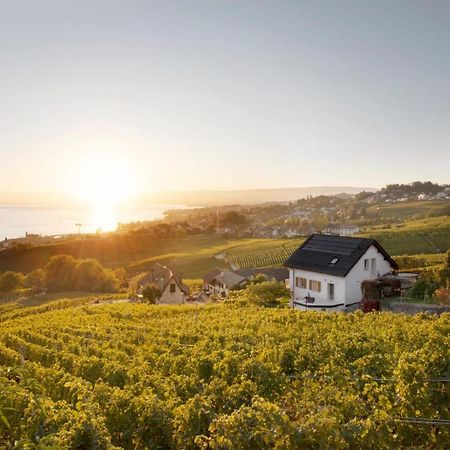 Hotel #Lavaux Lutry Zewnętrze zdjęcie