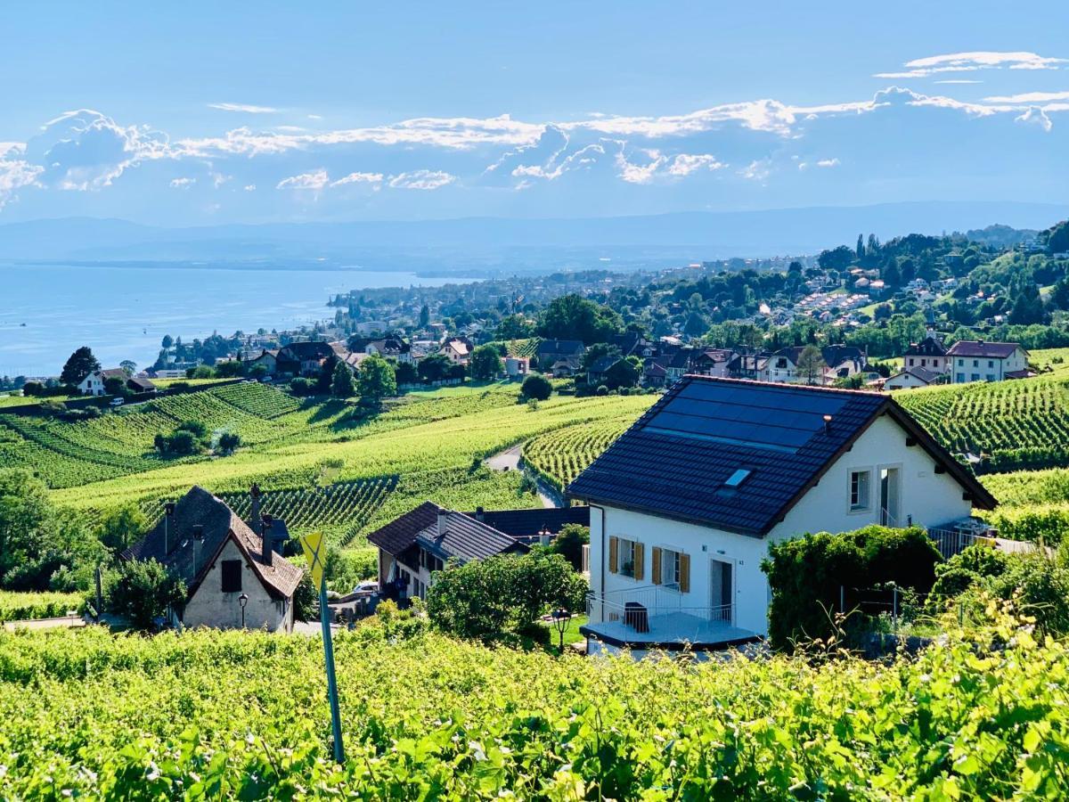 Hotel #Lavaux Lutry Zewnętrze zdjęcie