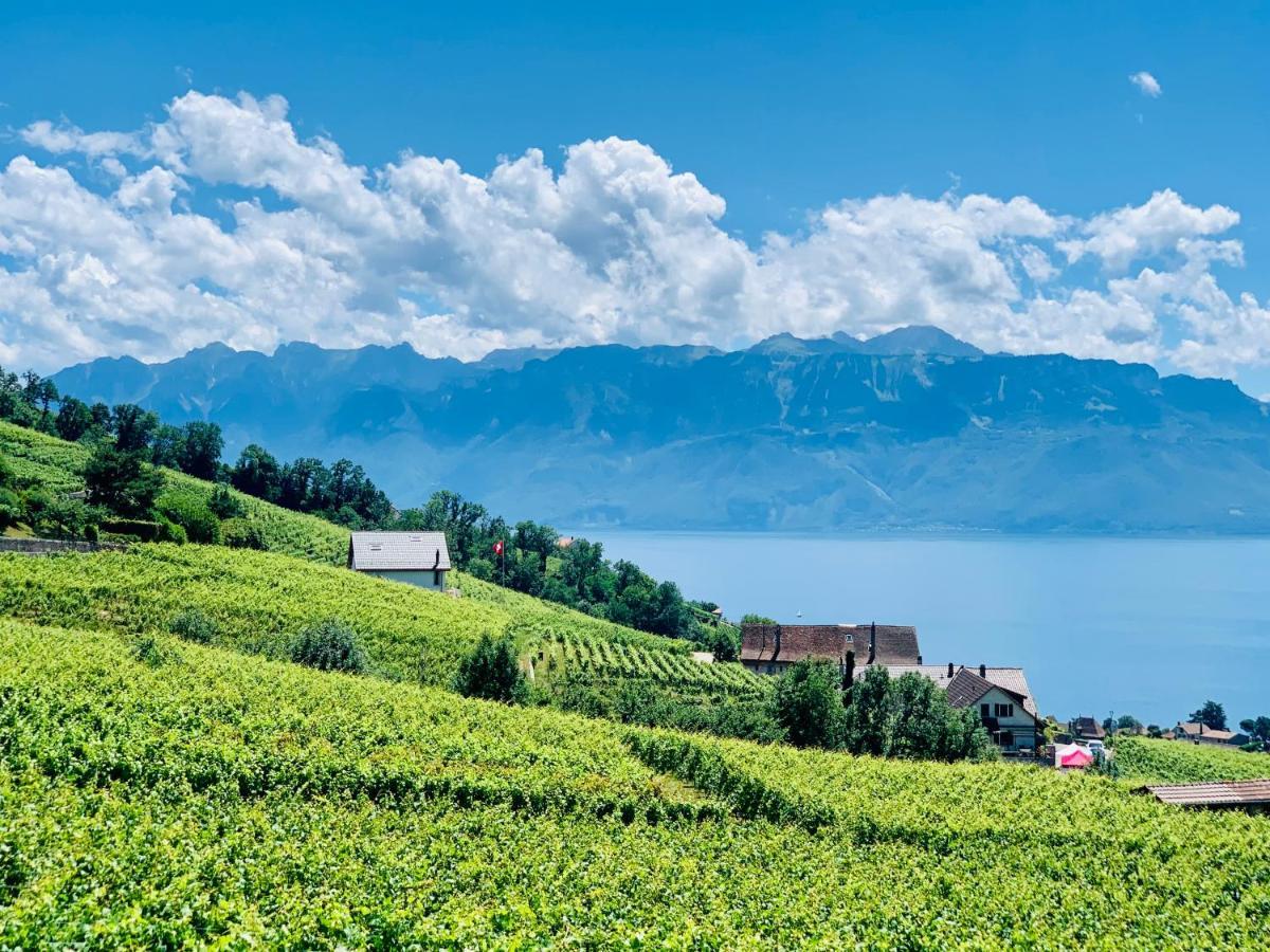 Hotel #Lavaux Lutry Zewnętrze zdjęcie