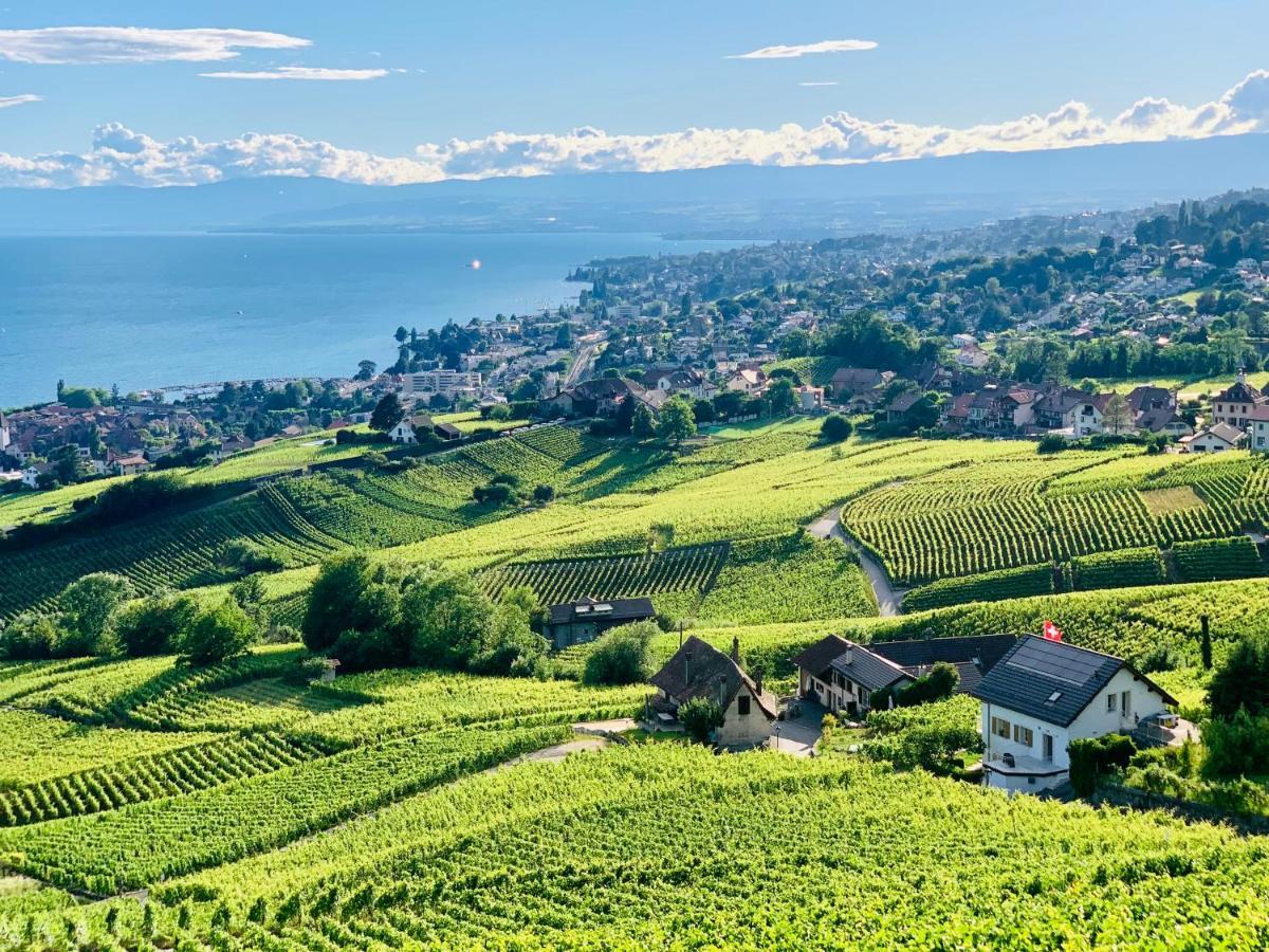 Hotel #Lavaux Lutry Zewnętrze zdjęcie