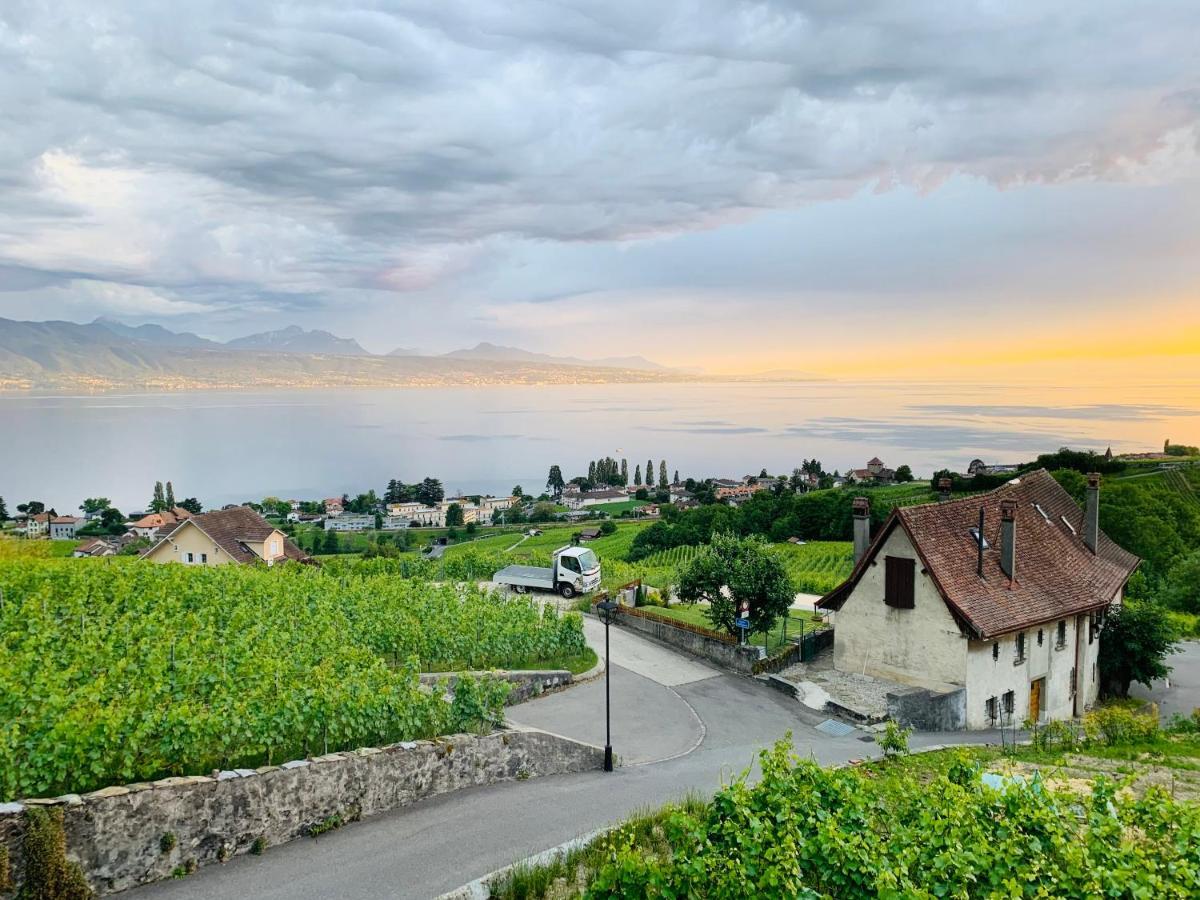 Hotel #Lavaux Lutry Zewnętrze zdjęcie