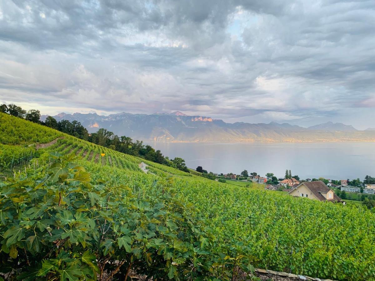 Hotel #Lavaux Lutry Zewnętrze zdjęcie