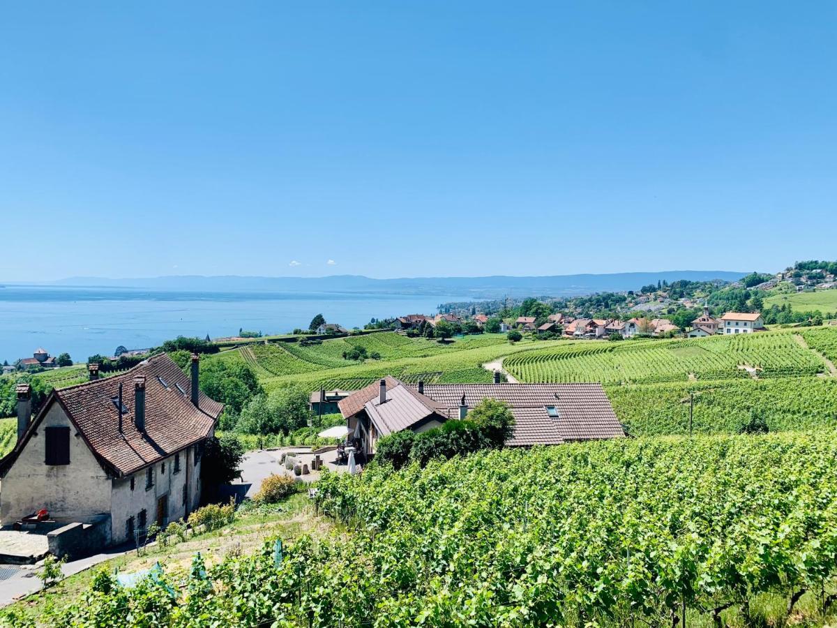 Hotel #Lavaux Lutry Zewnętrze zdjęcie